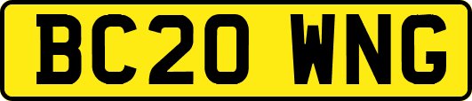 BC20WNG