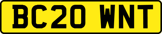 BC20WNT