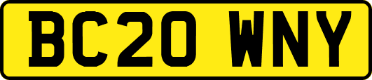 BC20WNY