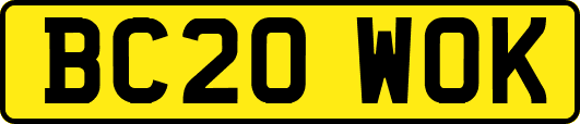 BC20WOK