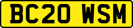 BC20WSM
