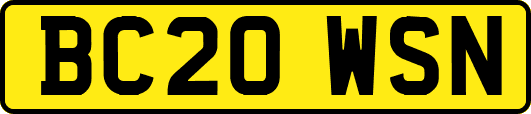 BC20WSN