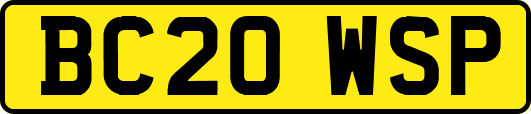 BC20WSP