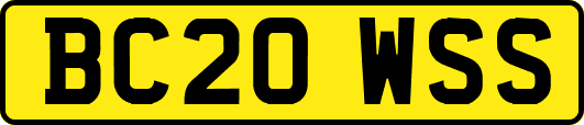 BC20WSS