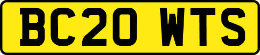 BC20WTS