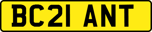 BC21ANT