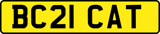 BC21CAT