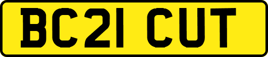 BC21CUT