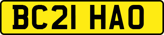 BC21HAO