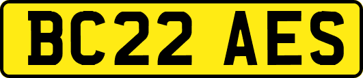BC22AES