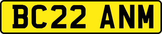 BC22ANM