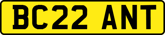 BC22ANT