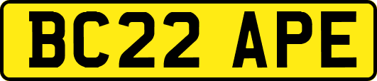BC22APE