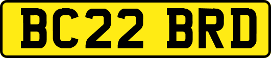BC22BRD