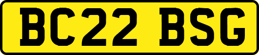 BC22BSG