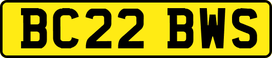 BC22BWS