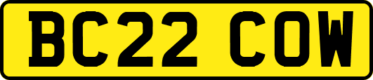 BC22COW