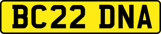 BC22DNA