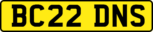 BC22DNS