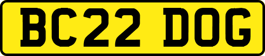 BC22DOG