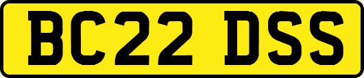 BC22DSS