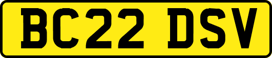 BC22DSV