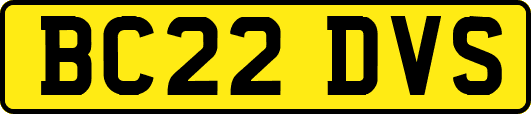 BC22DVS
