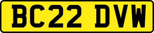 BC22DVW