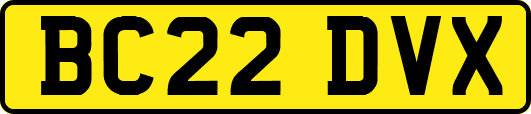 BC22DVX