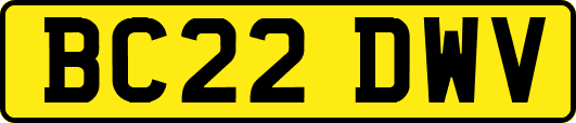 BC22DWV