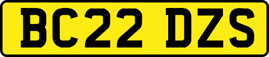 BC22DZS