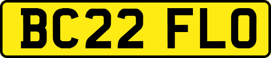 BC22FLO