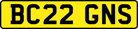 BC22GNS