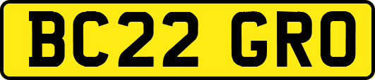 BC22GRO