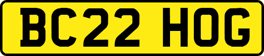BC22HOG