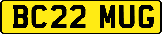 BC22MUG