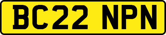 BC22NPN