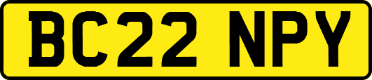 BC22NPY