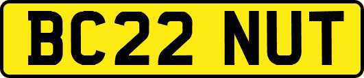 BC22NUT