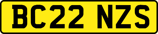 BC22NZS