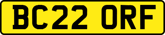 BC22ORF
