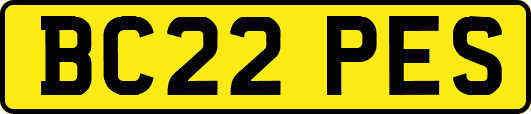 BC22PES