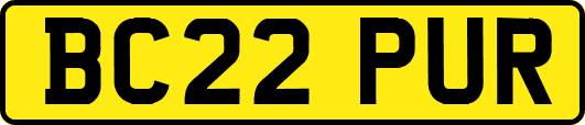 BC22PUR