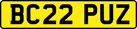 BC22PUZ