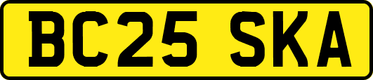 BC25SKA