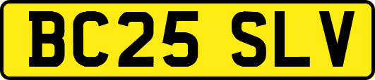 BC25SLV