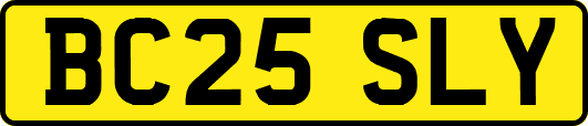 BC25SLY
