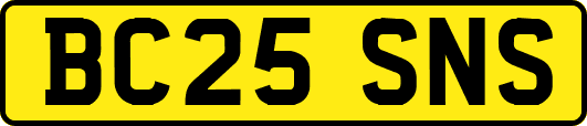 BC25SNS