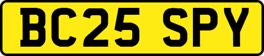 BC25SPY