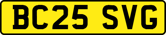 BC25SVG